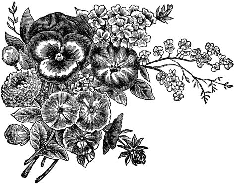 floral clipart black and white